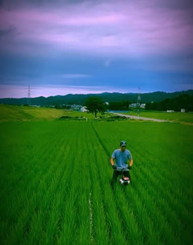 又次郎の魚沼産コシヒカリの写真